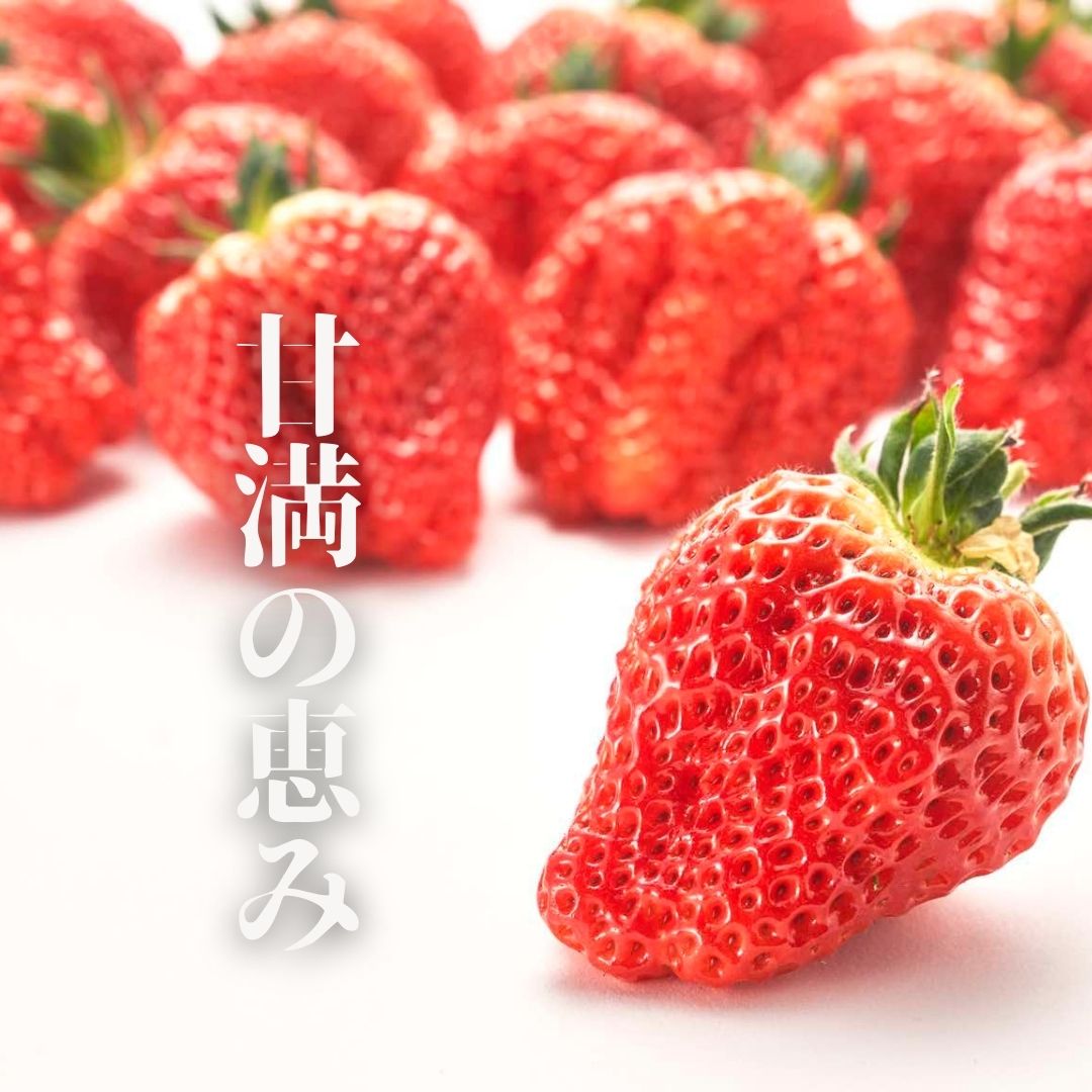 究極のいちご「ダイヤモンド越後姫 甘満の恵み」 8粒