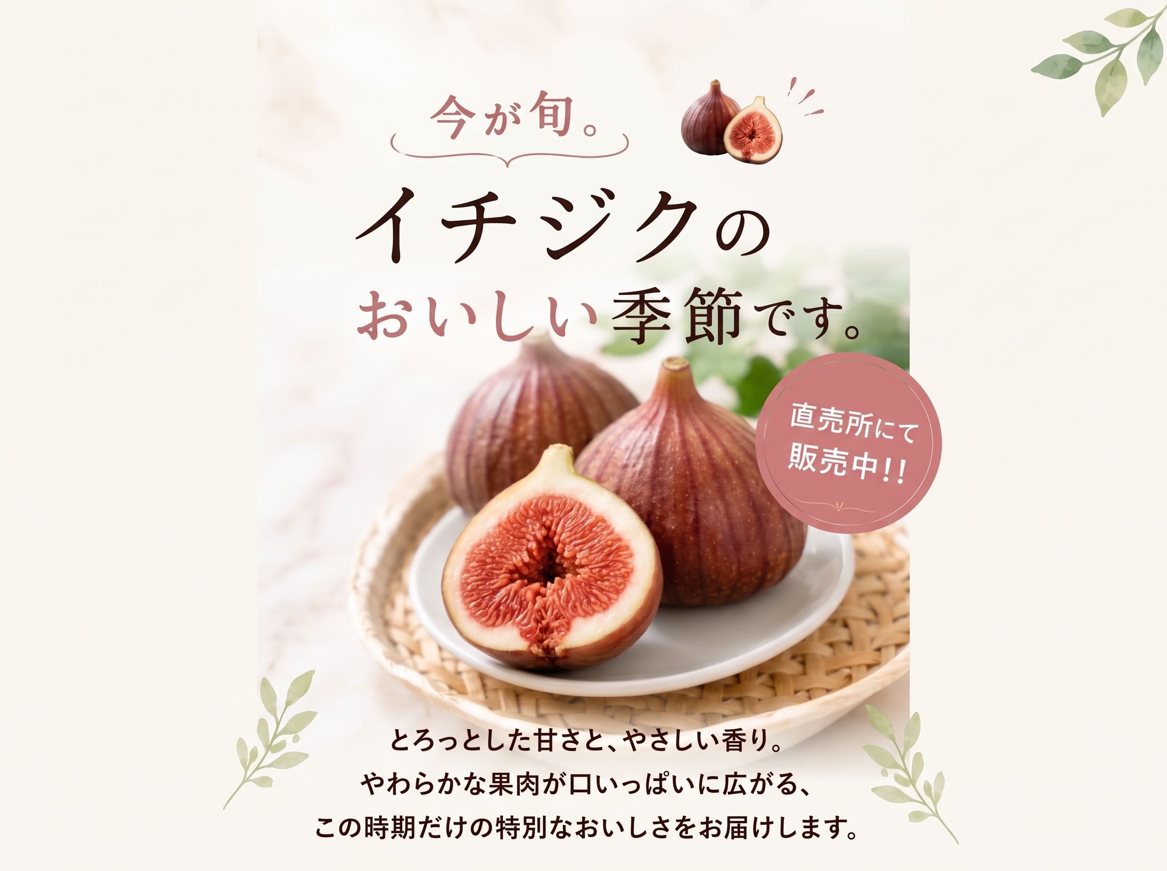 斉藤いちご園｜新潟県燕市 越後姫専門